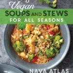 Vegan soups cover final copy
