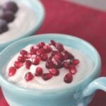 Worlds Easiest Vegan Yogurt cropped