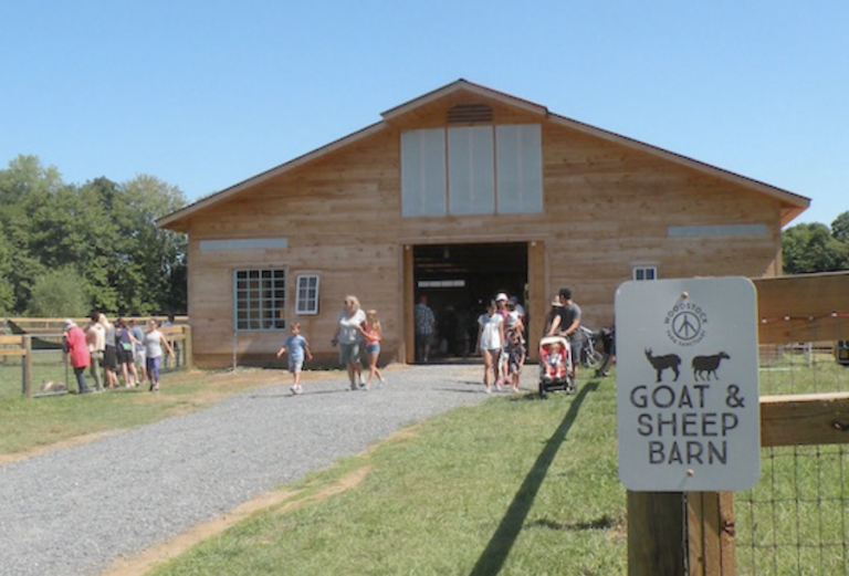Woodstock Farm Sanctuary in High Falls, NY — Well Worth a Visit!
