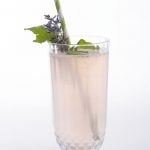 Gin and Lavender Cocktail from Gin Austen