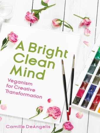 Bright clean mind by Camille DeAngelis