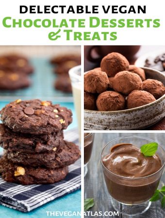 25+ Delectable Vegan Chocolate Desserts & Treats