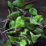 mixed baby greens varieties