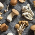mixed culinary mushroom varieties