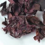Dulse - Sea Vegetable from the Atlantic