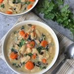 Vegan Chicken & wild rice soup