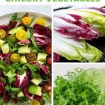 A guide to the chicory vegetables