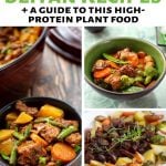 Seitan recipes roundup