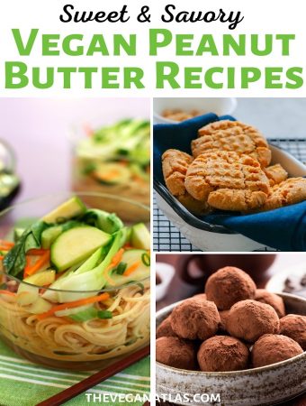 Vegan Peanut butter recipes