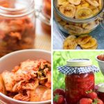 home fermenting and preserving