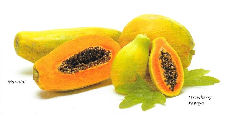 A Guide To Papaya — Varieties Tips And Recipes The Vegan Atlas 