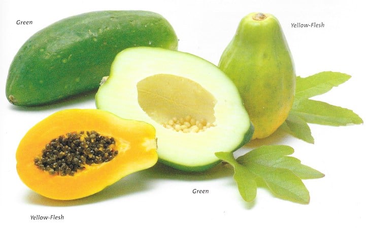 Types Of Papaya