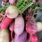 Radish varieties at market