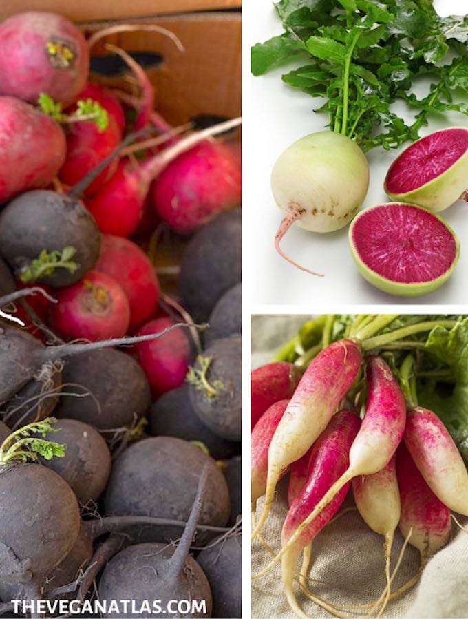 12 Types of Radishes