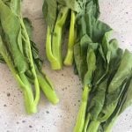 Gai lan - Chinese Broccoli