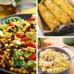 Fresh corn recipes roundup