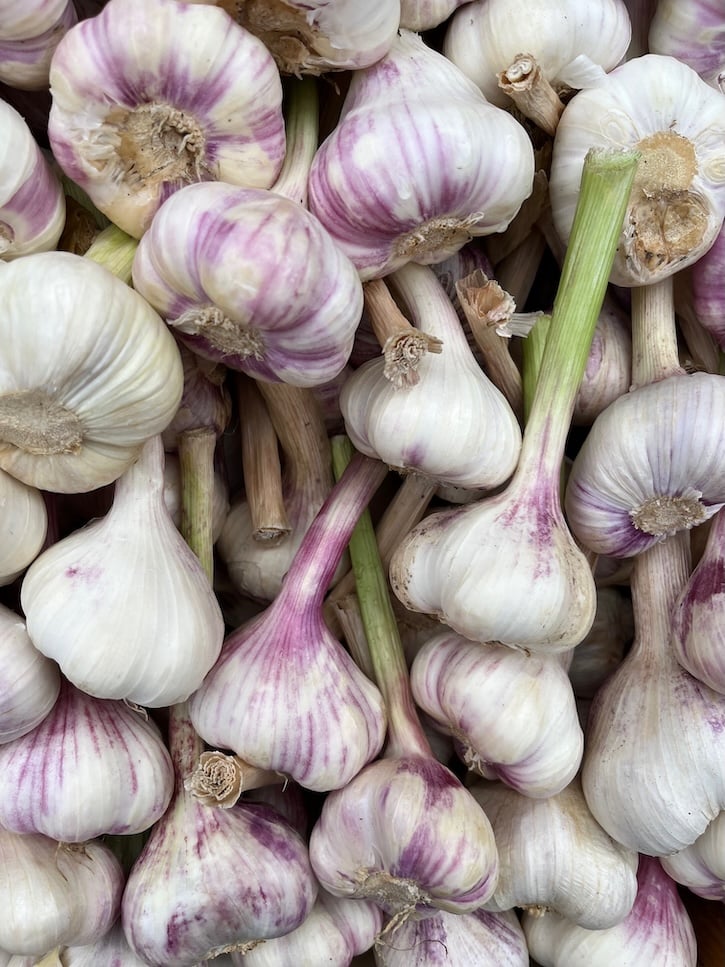 Garlic in Copenhagen