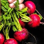 Radishes in hand