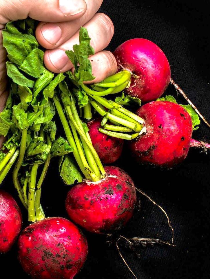 How to Store Radishes to Keep Them Fresh For Longer