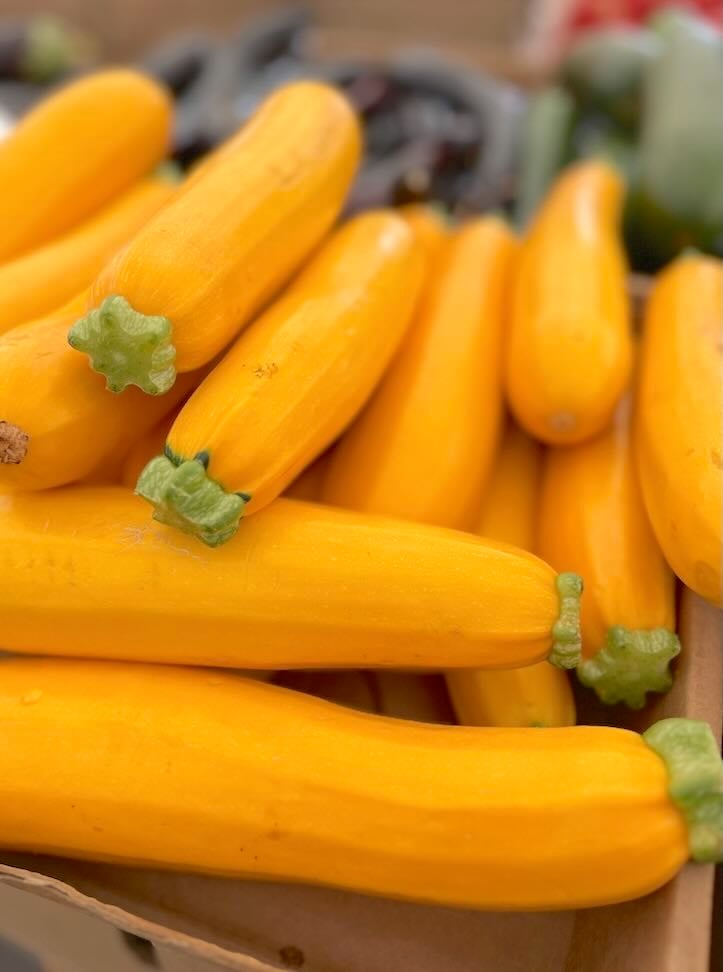 Yellow summer squash at market
