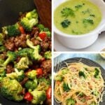 vegan broccoli recipes roundup