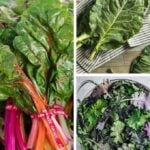 tips for leafy greens