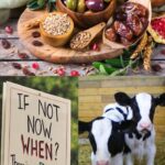 Judaism and Veganism