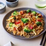 Stir-Fried Udon Noodles With Tofu, Broccoli, Carrot, and sweet peppers