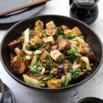 Spicy Eggplant and tofu in garlic sauce