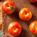Dinosaur Egg Pluots