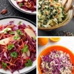 vegan coleslaw recipes roundup