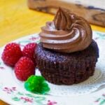 Vegan Chocolate Cupcakes with Whipped Cashew Frosting