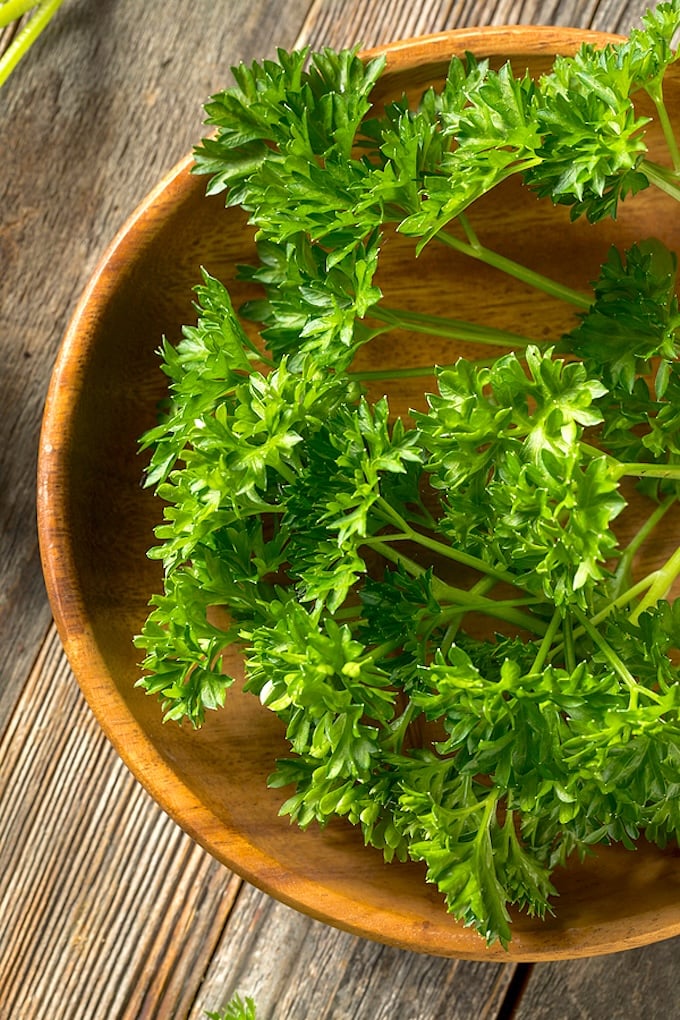 Curly Parsley