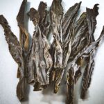 alaria seaweed