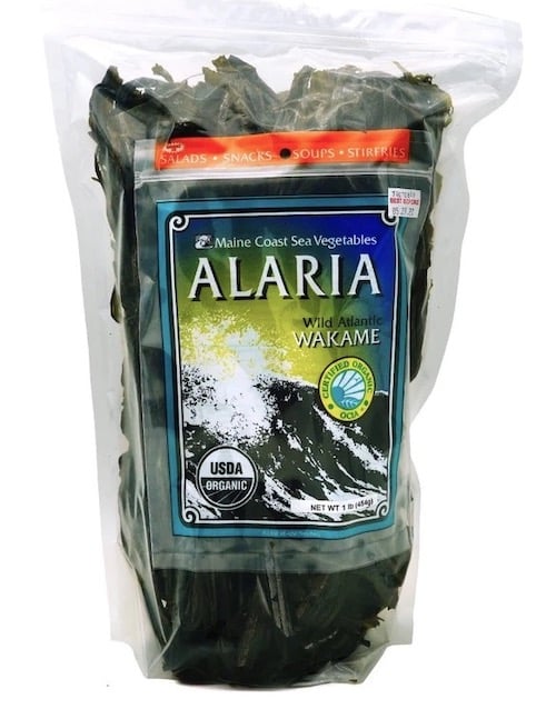 Maine coast alaria seaweed