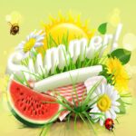 Summer fun montage