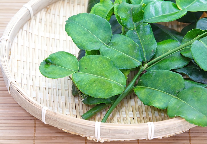 Makrut (kaffir) lime leaves