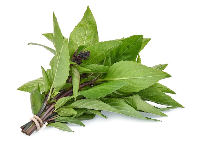 Thai Basil