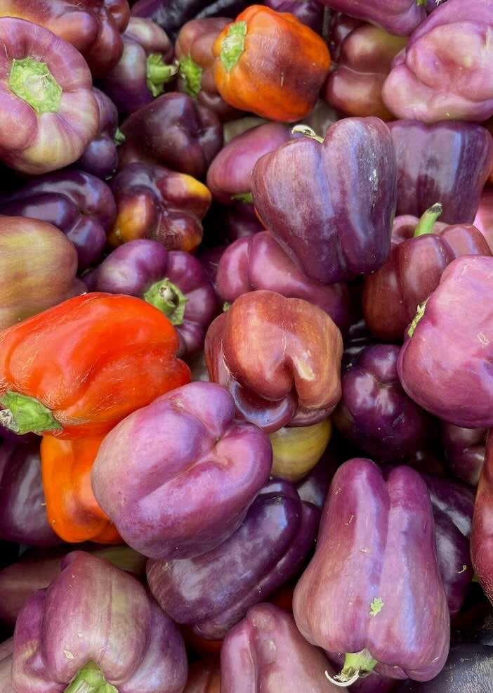 Purple bell peppers