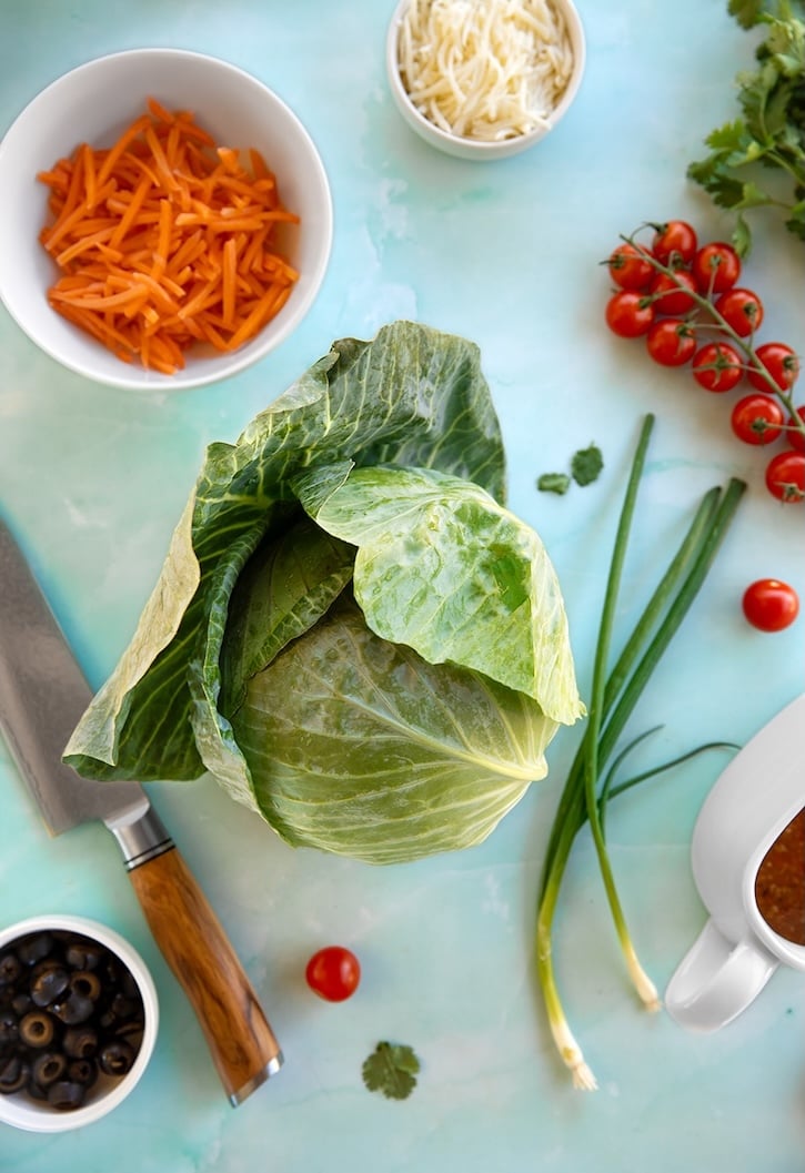 Colorful Cabbage Salad ingredients