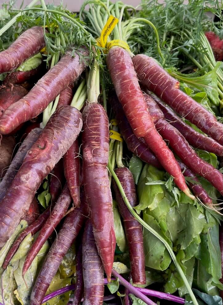 Purple Carrots