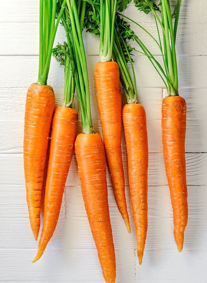 Fresh carrots with tops
